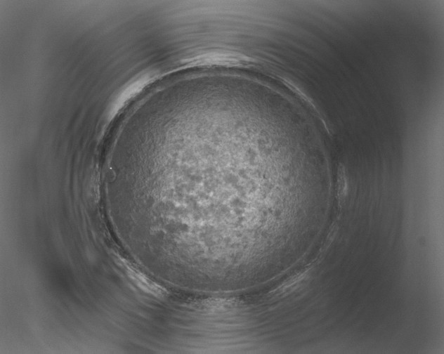 X0000078011067200611031424