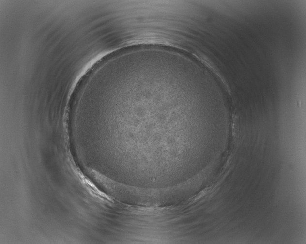 X0000078011068200611031424