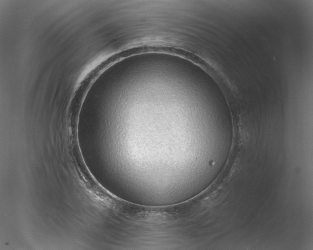 X0000078011070200611031424