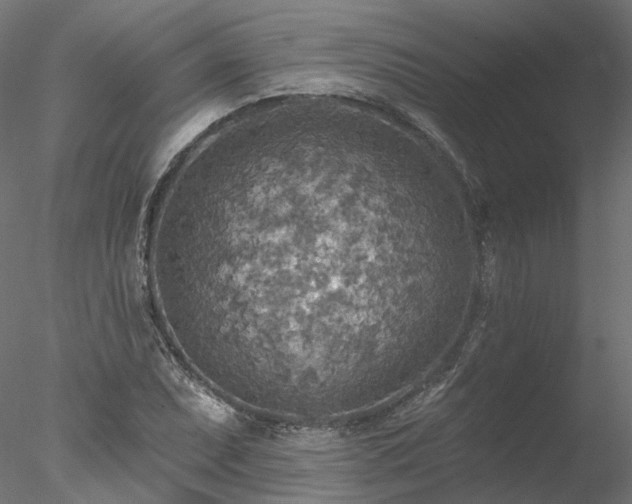 X0000078011071200611031424