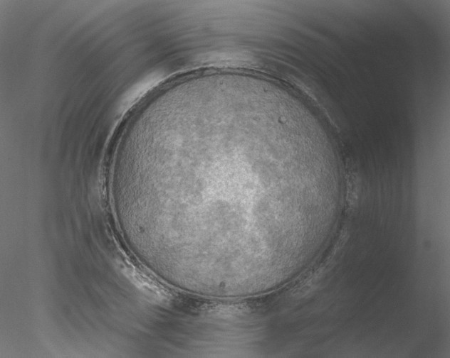 X0000078011074200611031424