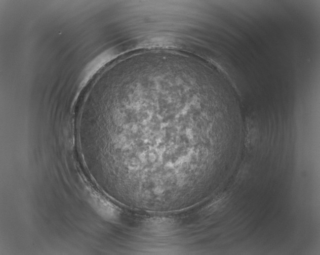 X0000078011075200611031424