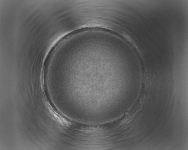 X0000078011076200611031424