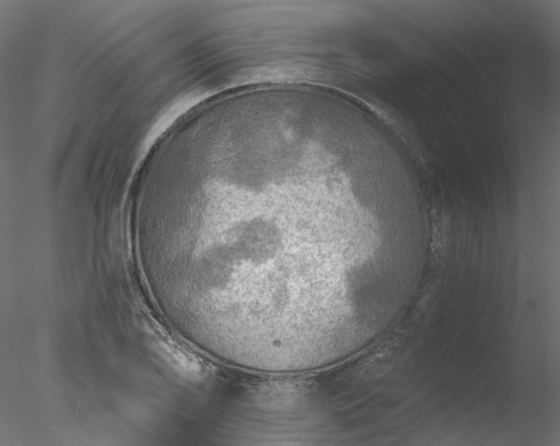 X0000078011078200611031424