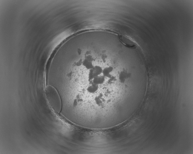 X0000078011079200611031424