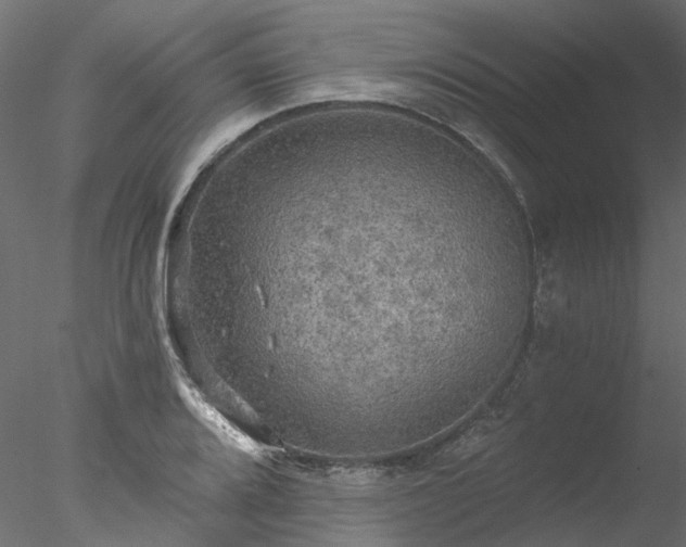 X0000078011080200611031424