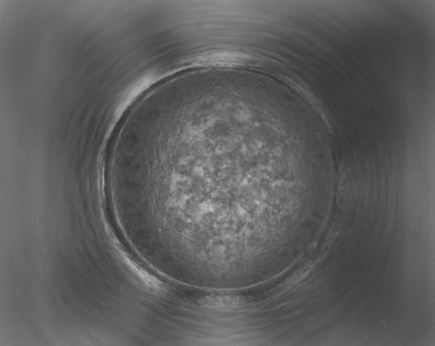 X0000078011083200611031424