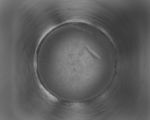 X0000078011084200611031424