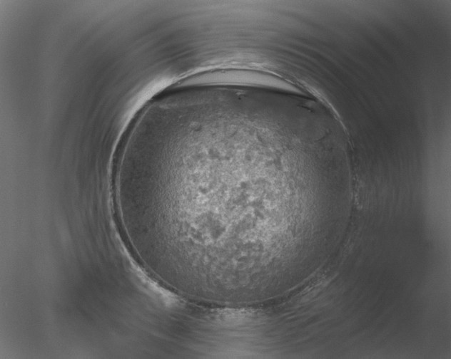 X0000078011087200611031424