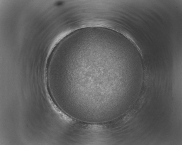 X0000078011088200611031424