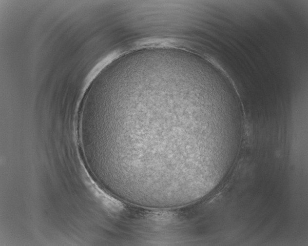 X0000078011090200611031424