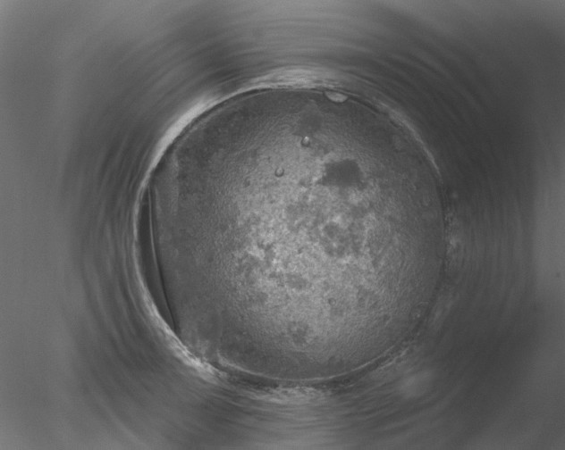 X0000078011091200611031424