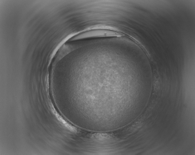 X0000078011092200611031424