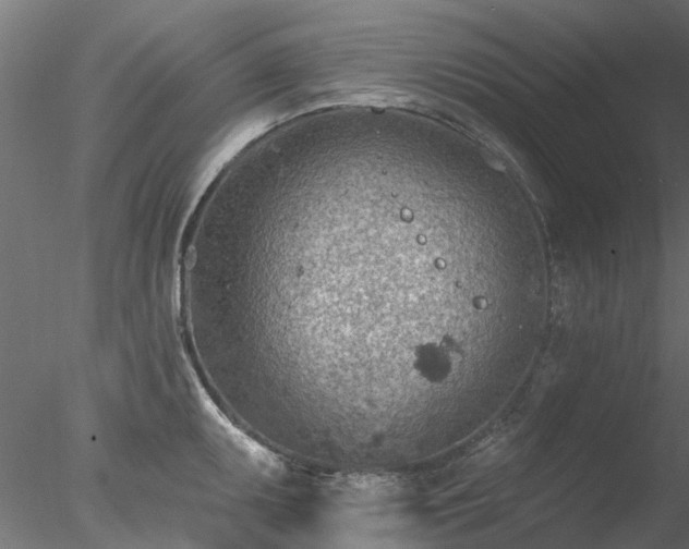 X0000078011095200611031424