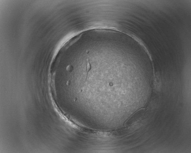 X0000078011096200611031424