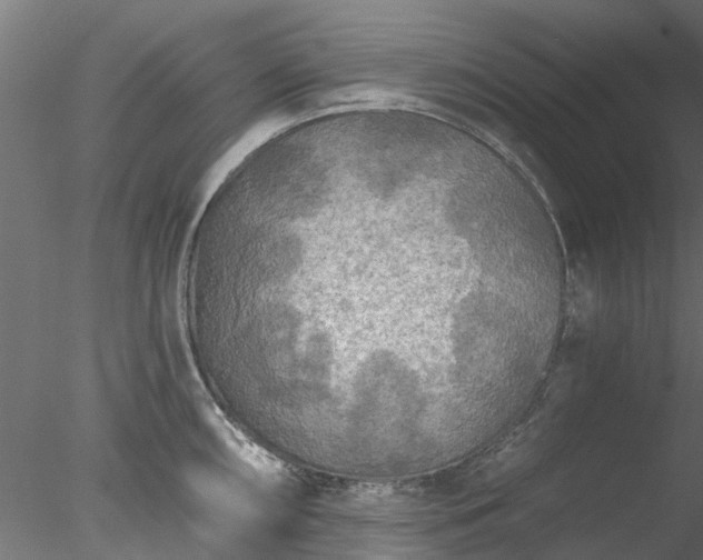 X0000078011098200611031424