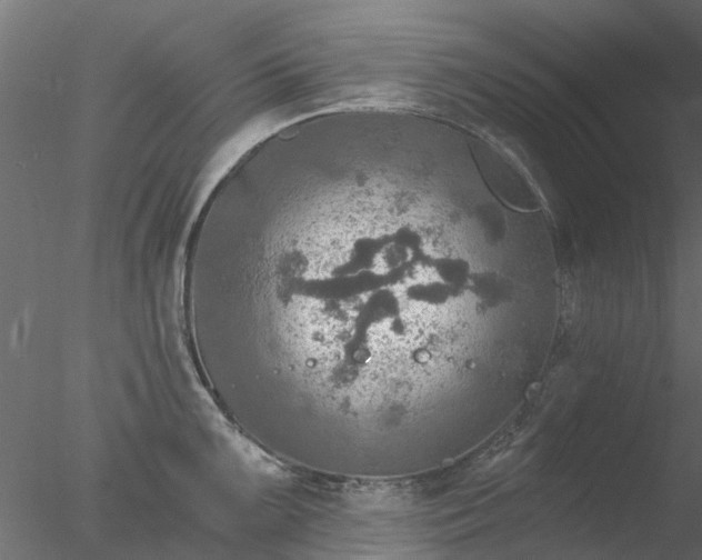 X0000078011099200611031424