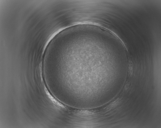 X0000078011100200611031424