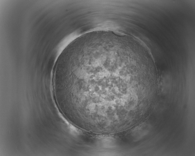 X0000078011103200611031424