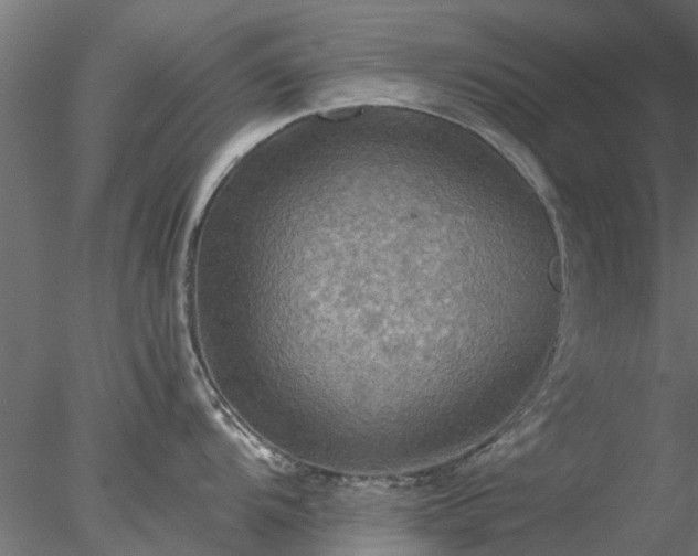 X0000078011104200611031424