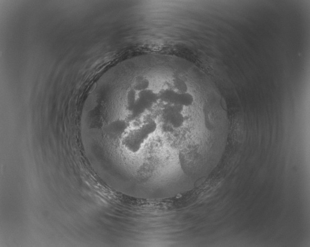 X0000078011105200611031423