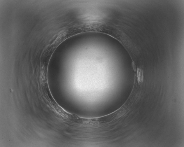 X0000078011107200611031423