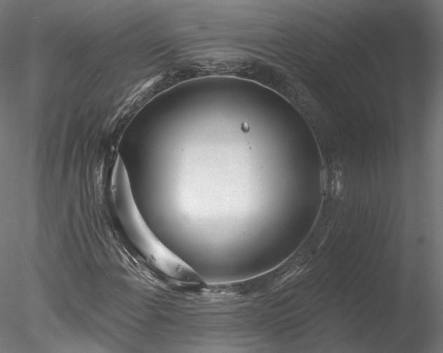 X0000078011108200611031423