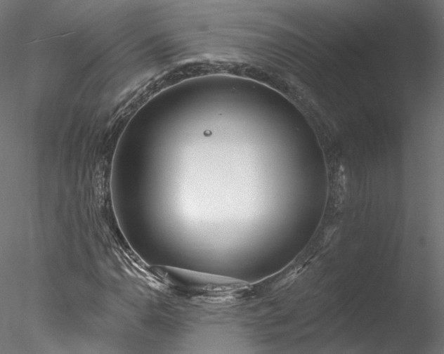 X0000078011110200611031423