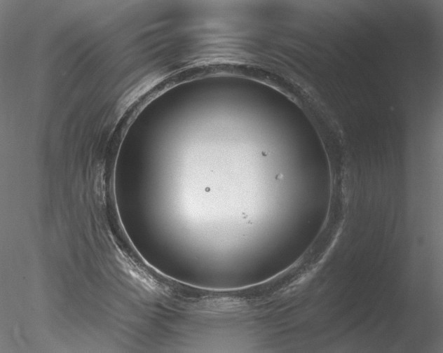 X0000078011113200611031423