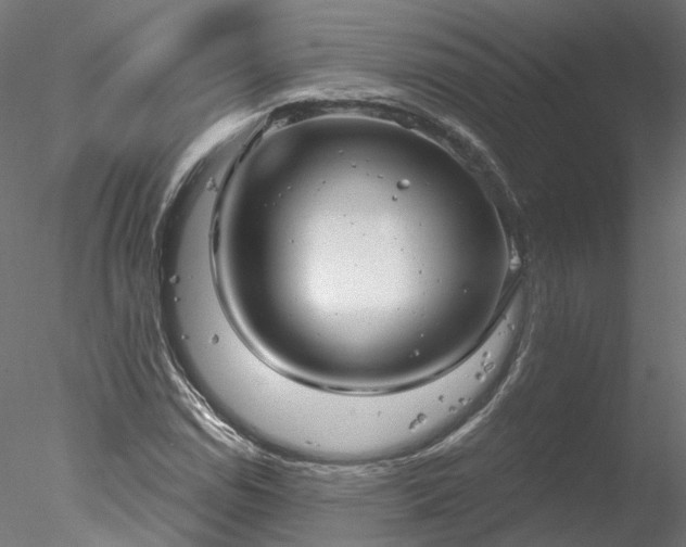 X0000078011114200611031423