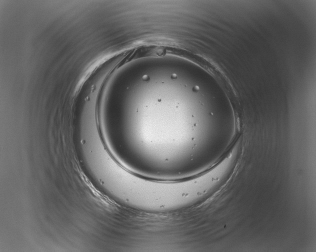 X0000078011115200611031423