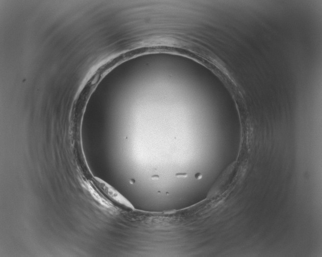 X0000078011116200611031423