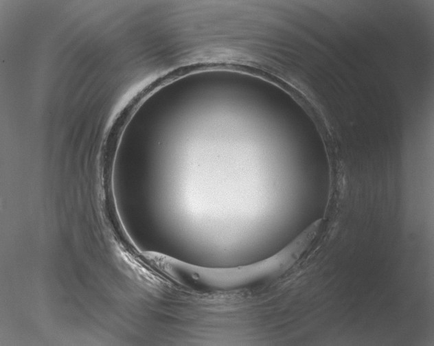 X0000078011120200611031423