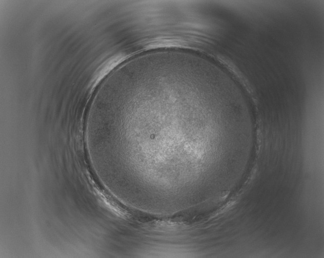 X0000078011129200611031423