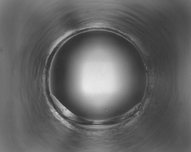 X0000078011134200611031423