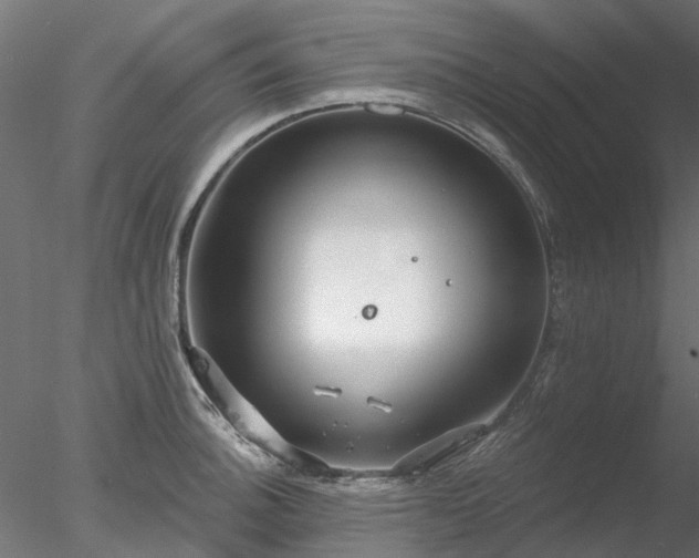 X0000078011140200611031423