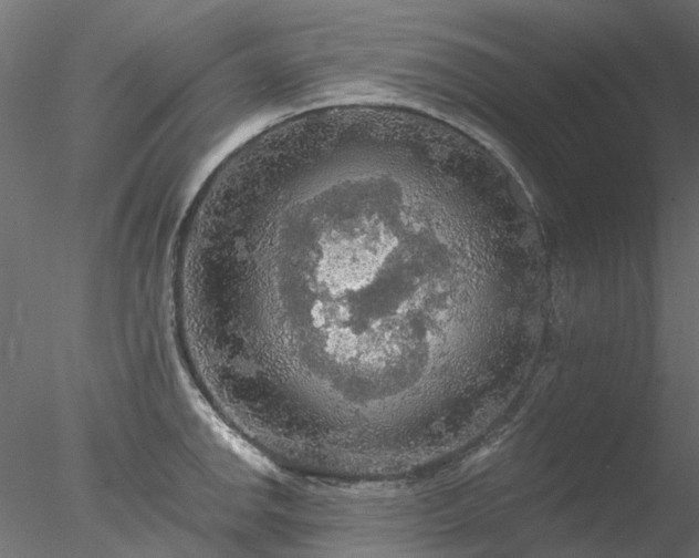 X0000078011142200611031423