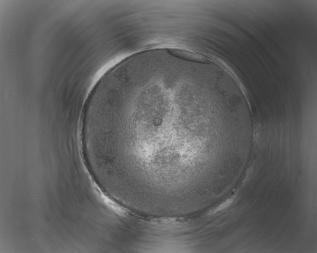 X0000078011149200611031423