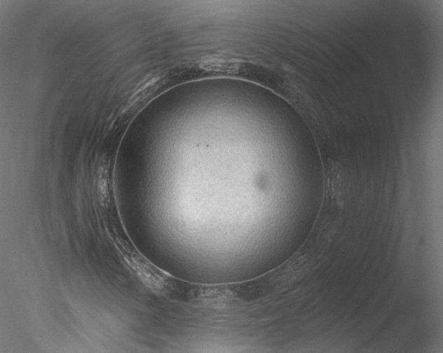 X0000078011154200611031423