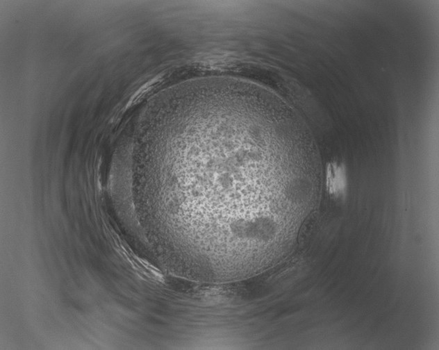 X0000078011155200611031423