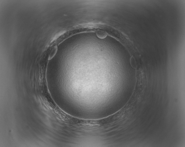 X0000078011158200611031423