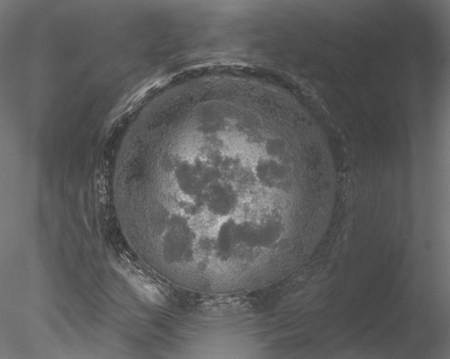 X0000078011159200611031423