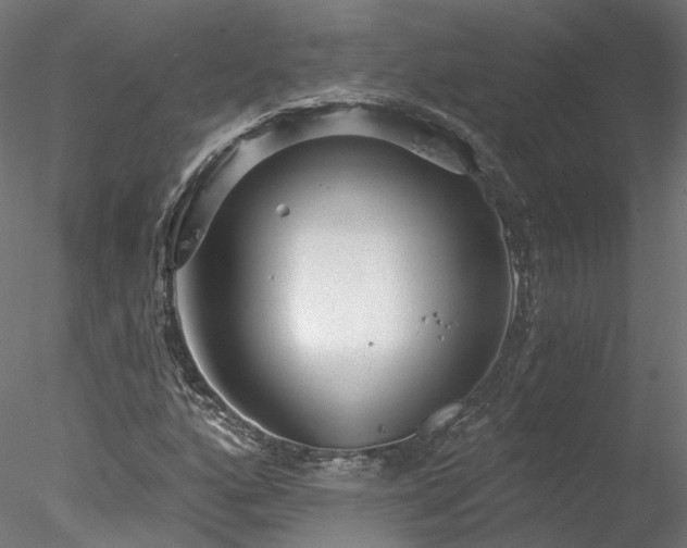 X0000078011160200611031423