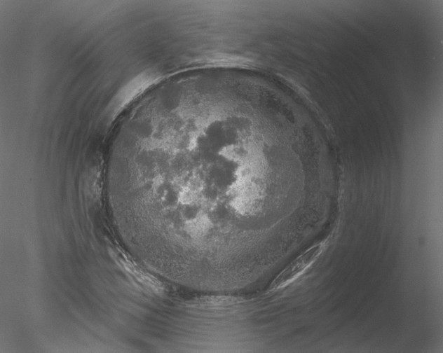 X0000078011163200611031423