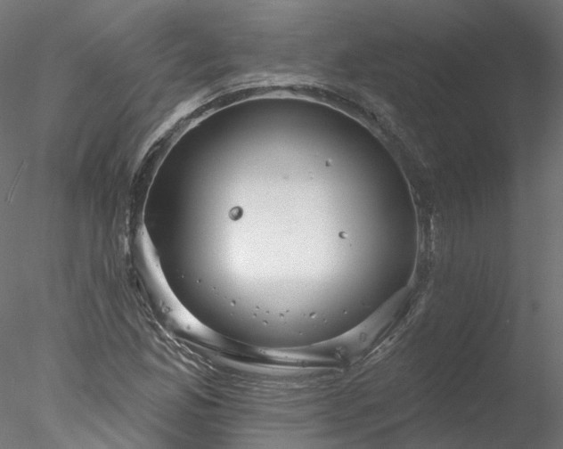 X0000078011165200611031423