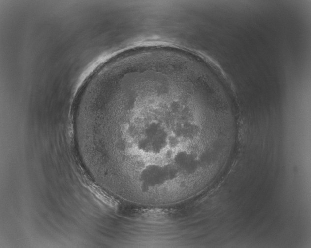 X0000078011167200611031422