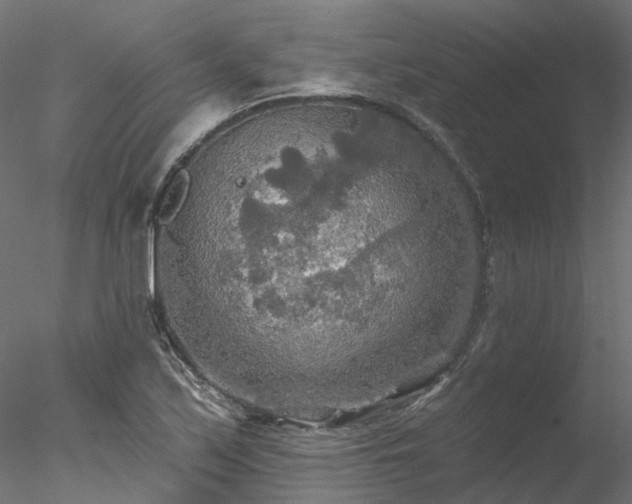 X0000078011171200611031422