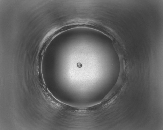 X0000078011172200611031422