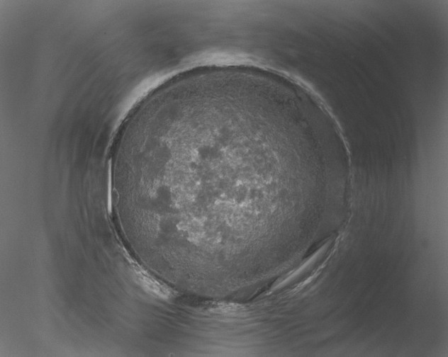 X0000078011175200611031422