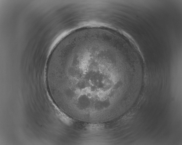 X0000078011183200611031422